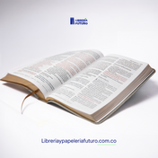 Biblia gigante gris