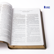Biblia gigante gris