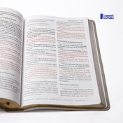 Biblia gigante gris