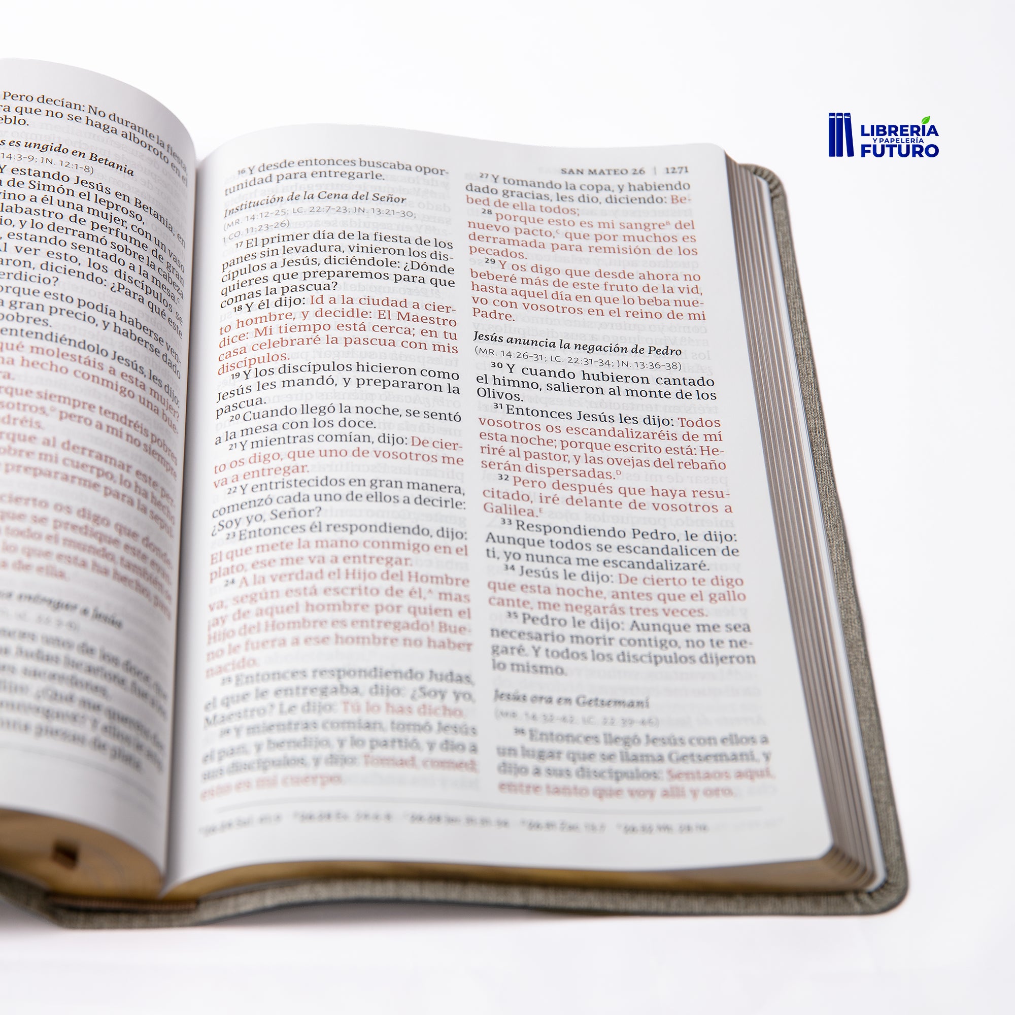 Biblia gigante gris