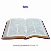 Biblia grande Holman terracota