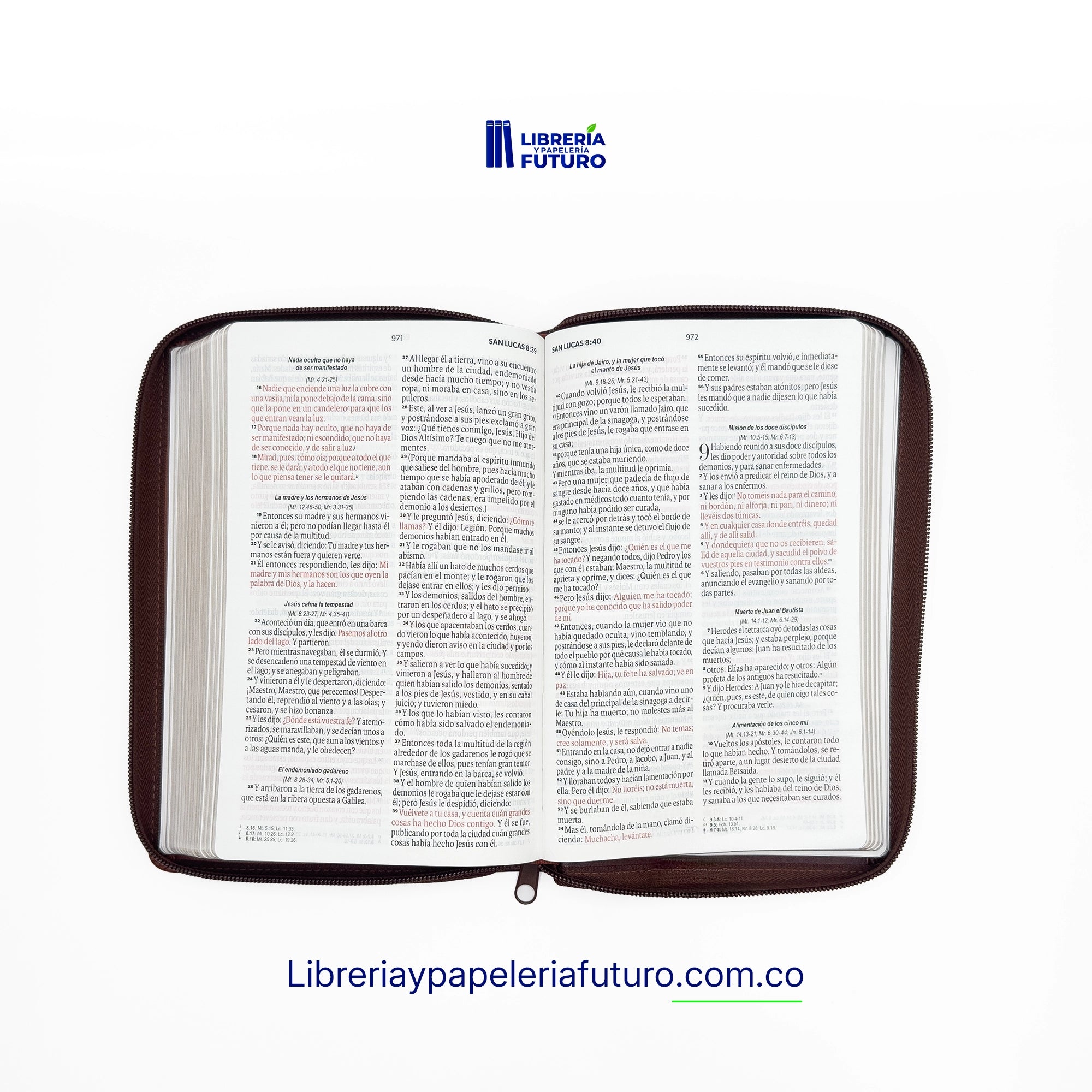 Biblia marrón clásica mediana