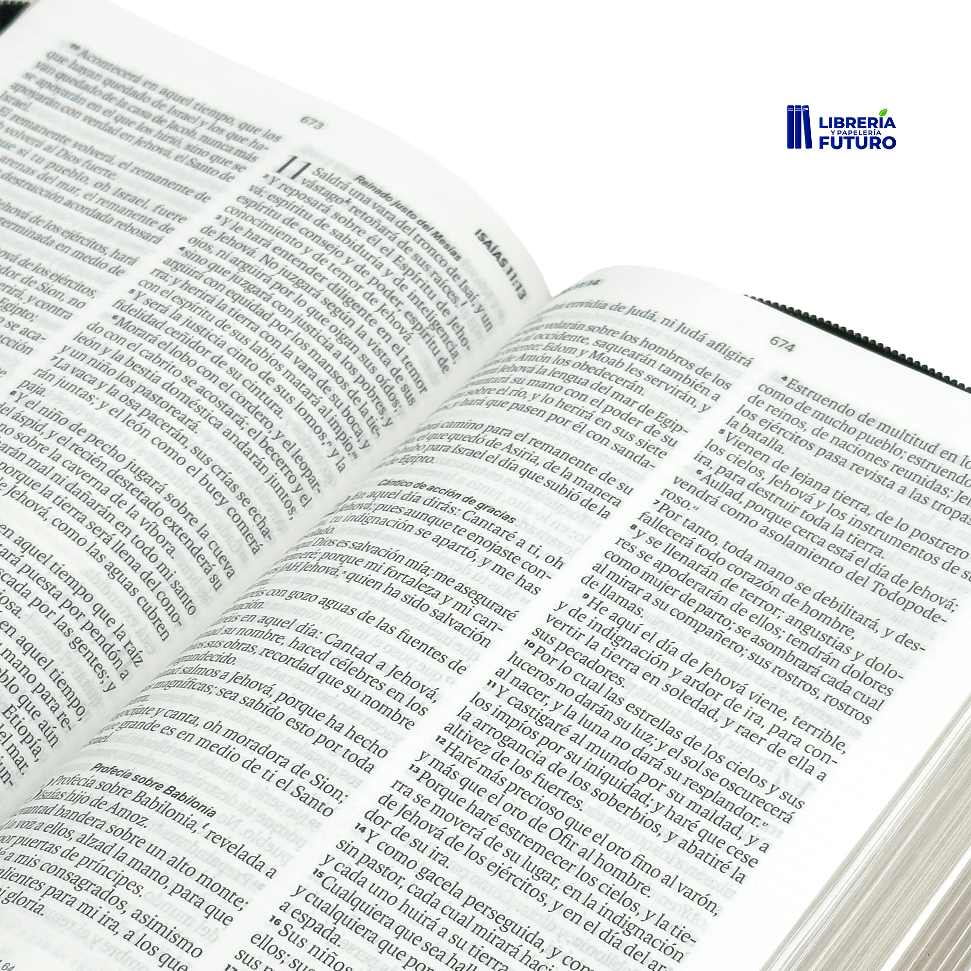 Biblia negra repujada mediana