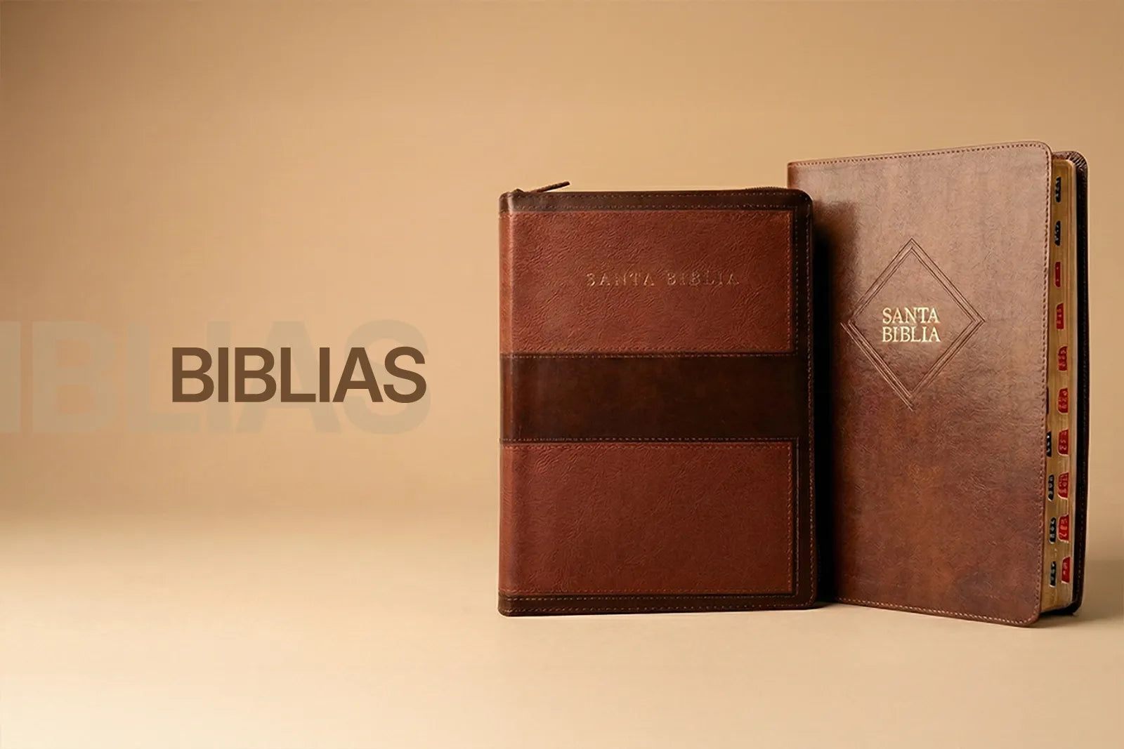 biblias_c00ca15a-6bb7-4a03-9cea-3aaf9b7125a4.webp