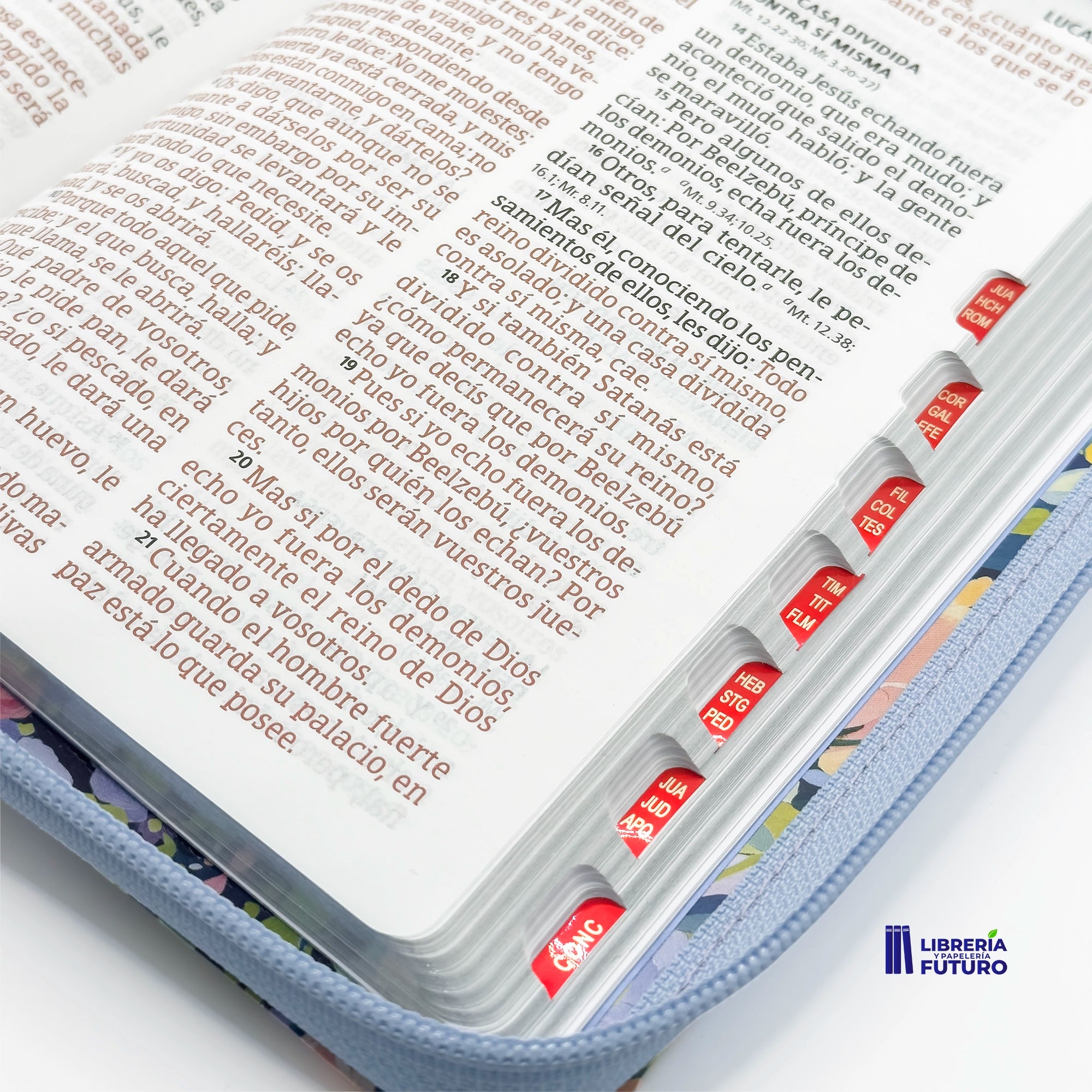 detalle_a006da29-5ce7-4a08-bb4b-26591847b29a.webp