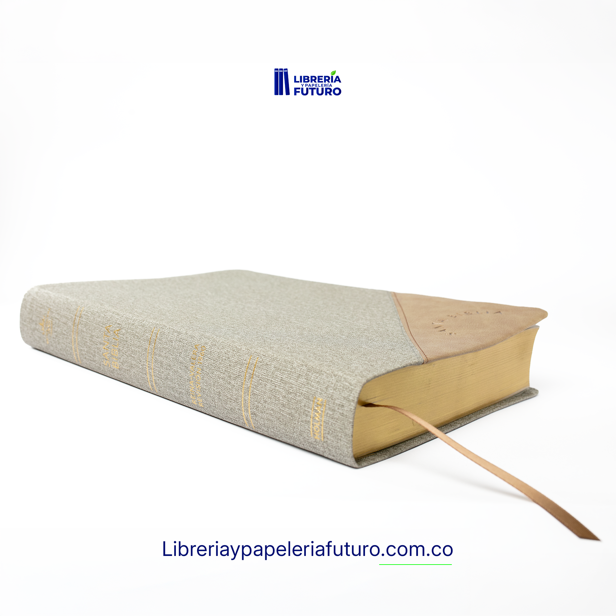 Biblia gigante gris