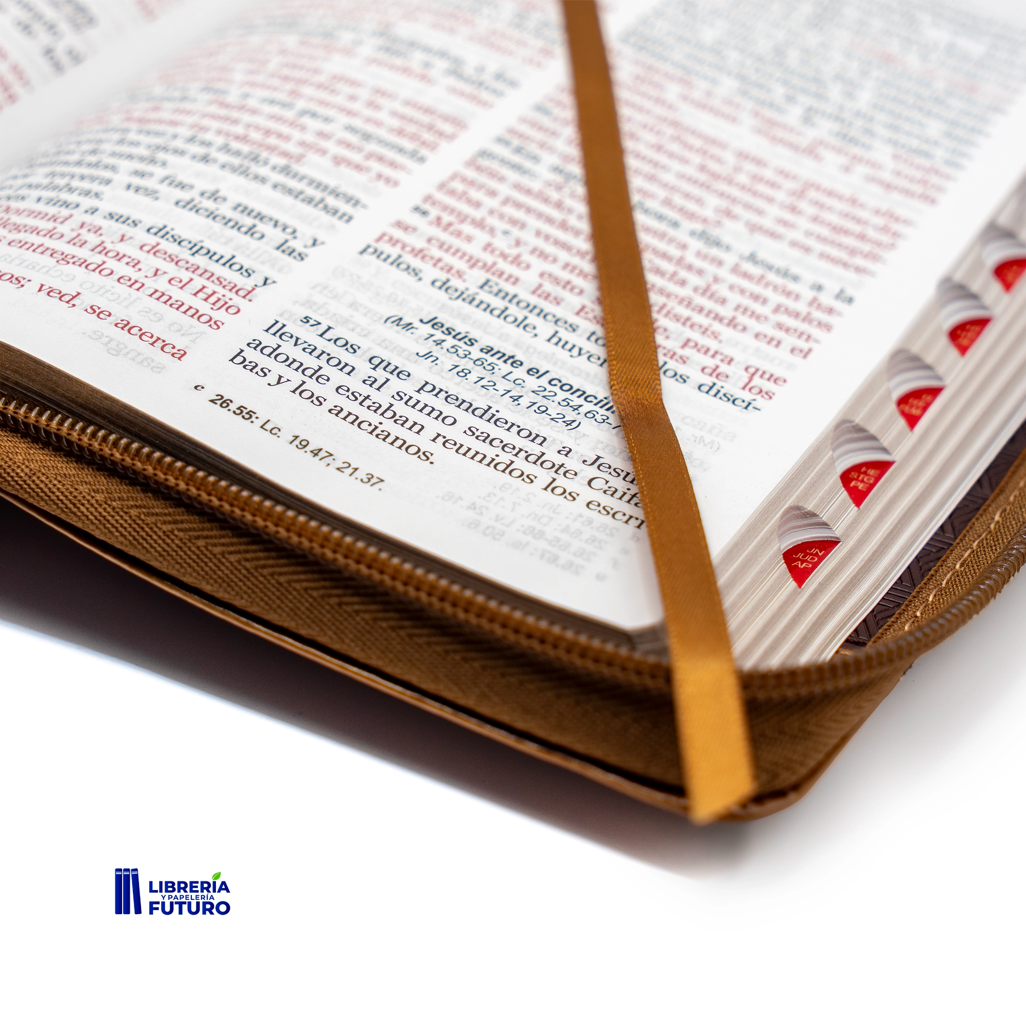 Biblia mediana café geométrica