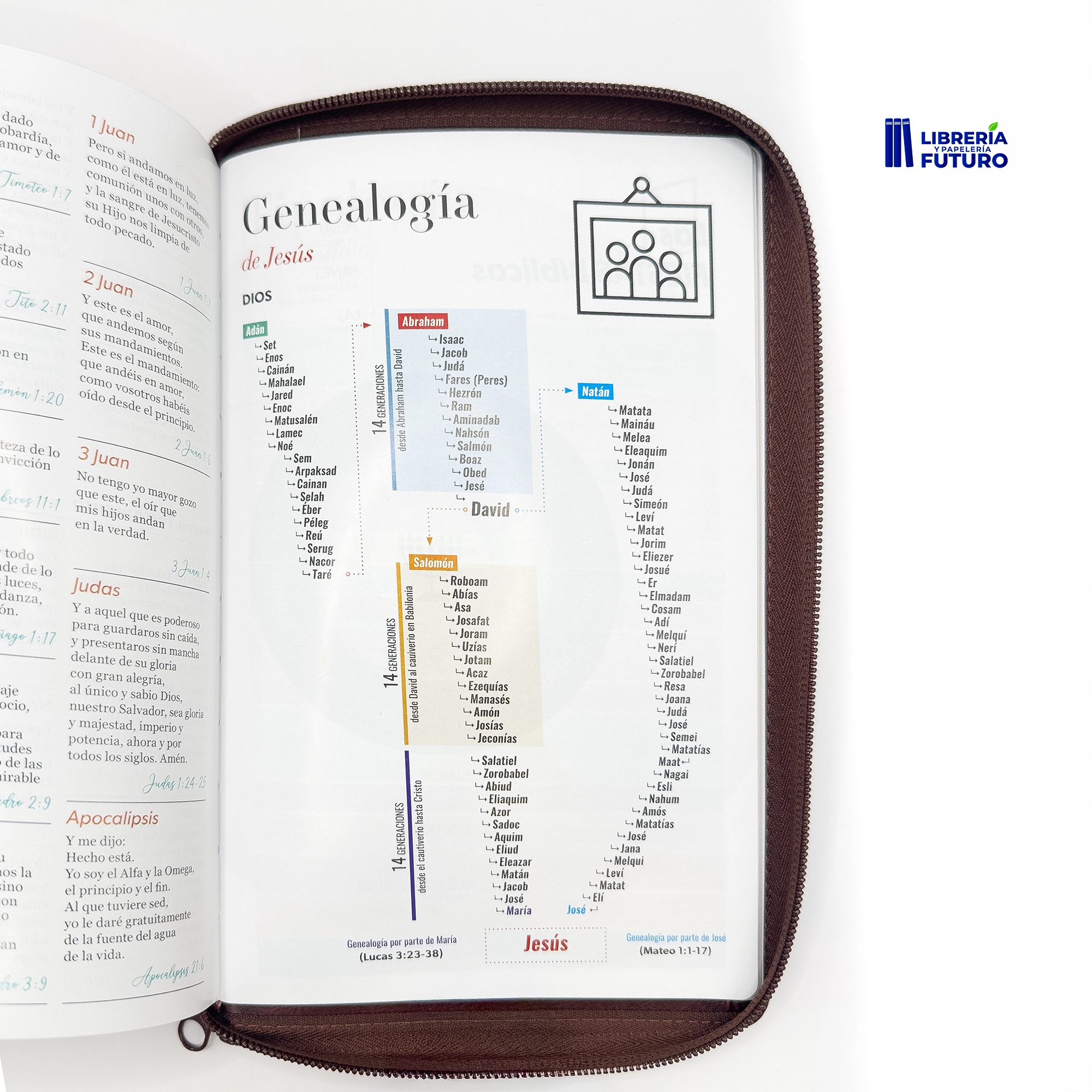 Biblia marrón clásica mediana