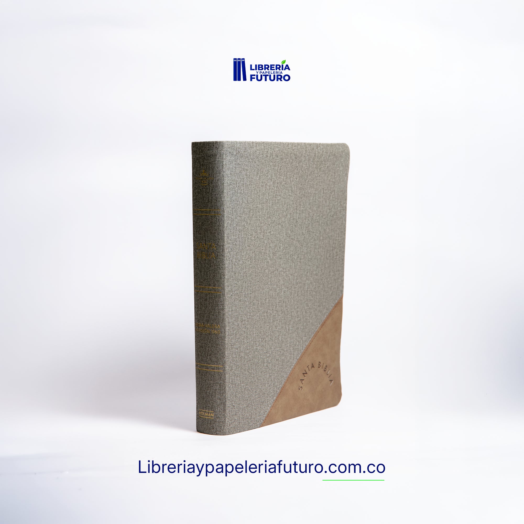 Biblia gigante gris
