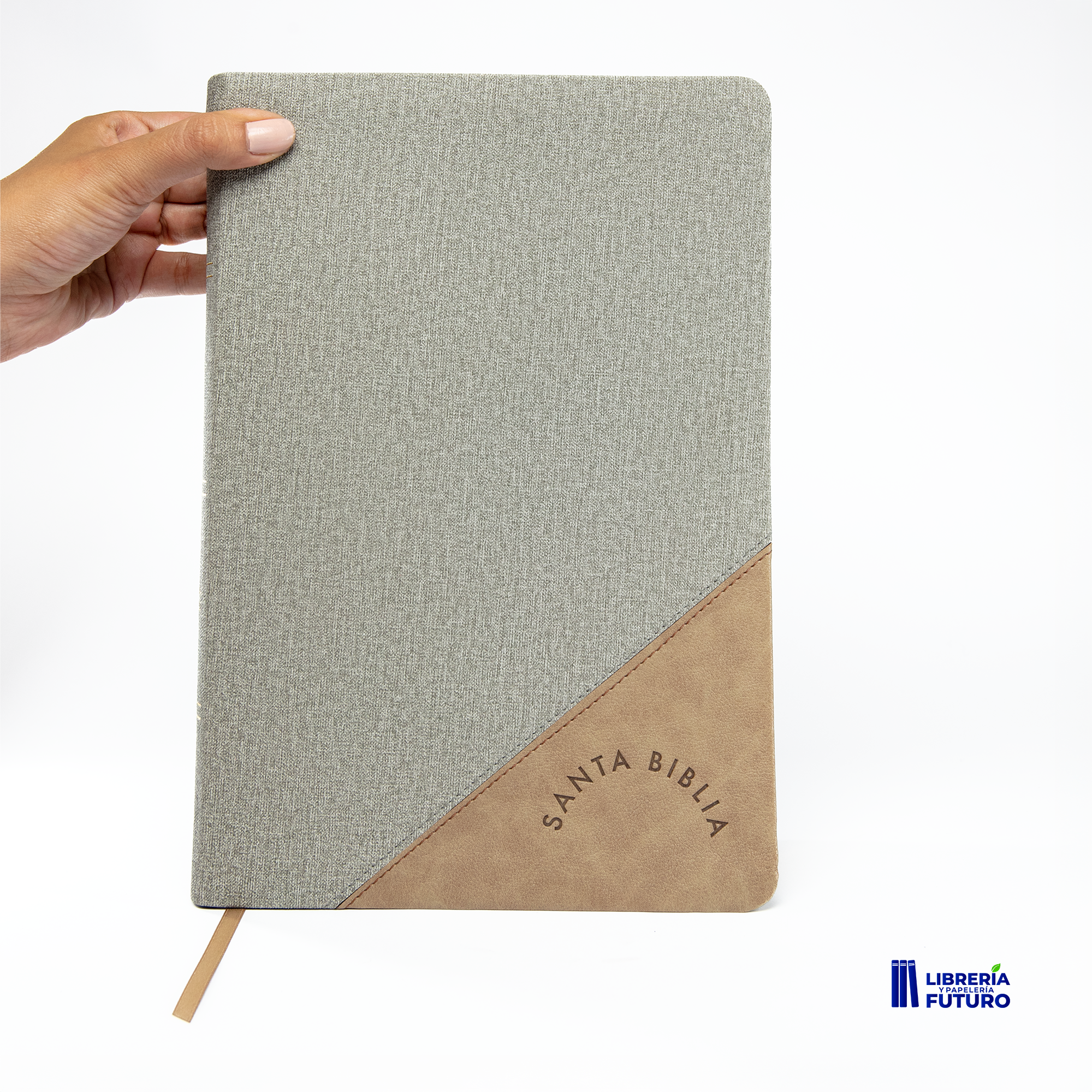 Biblia gigante gris