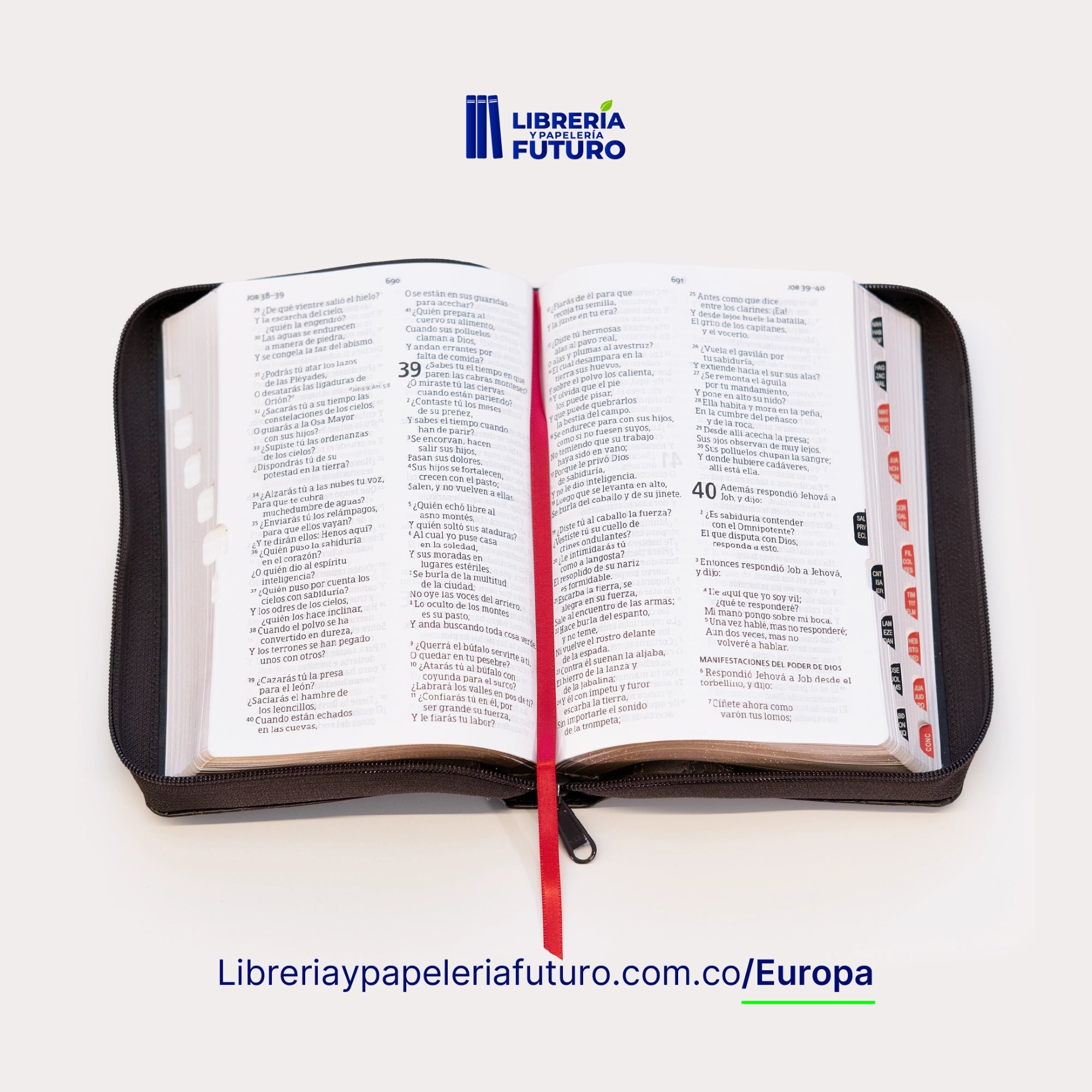 📚Biblia mediana negro lineas 🇪🇺