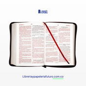 Biblia grande vinotinto NO indice