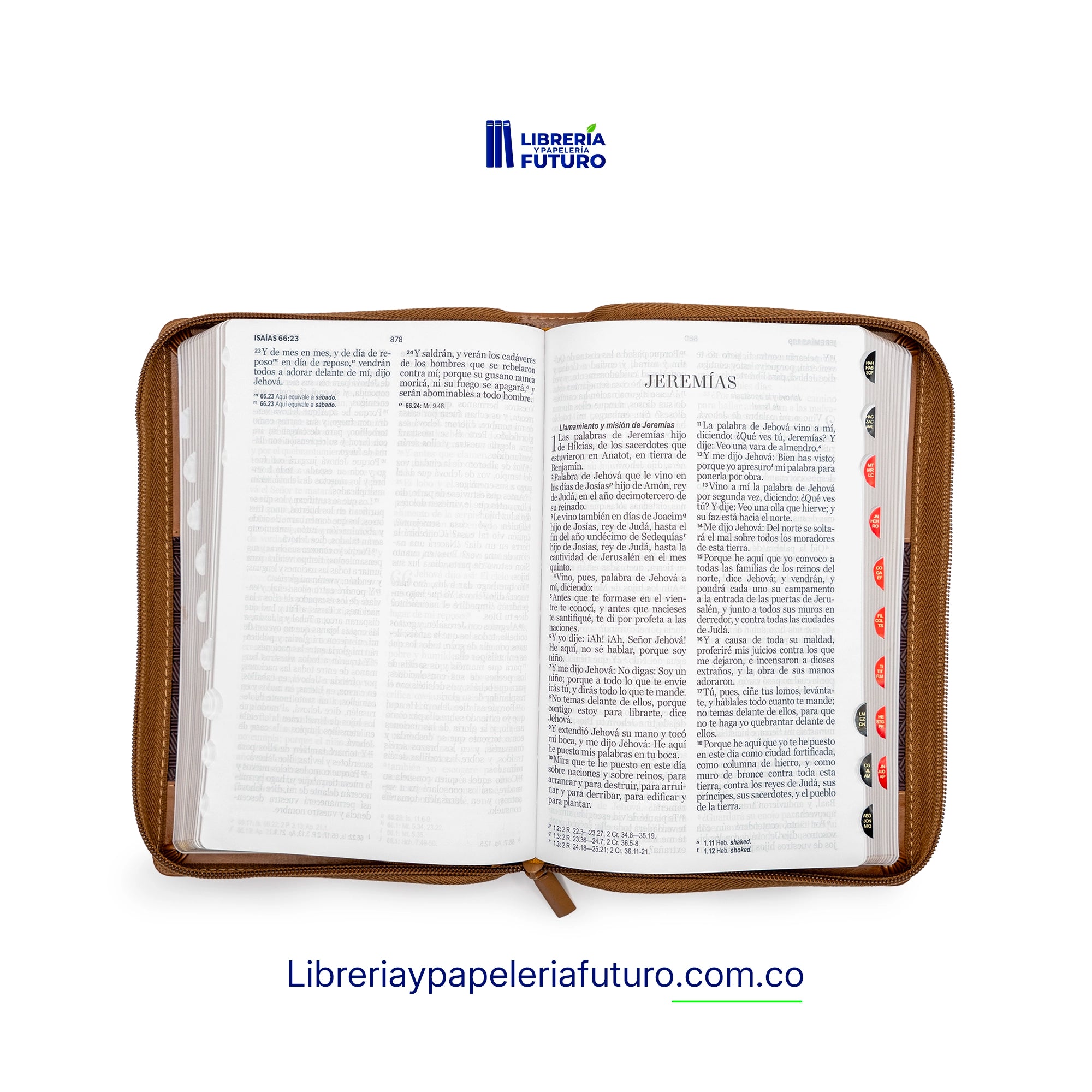Biblia mediana café geométrica