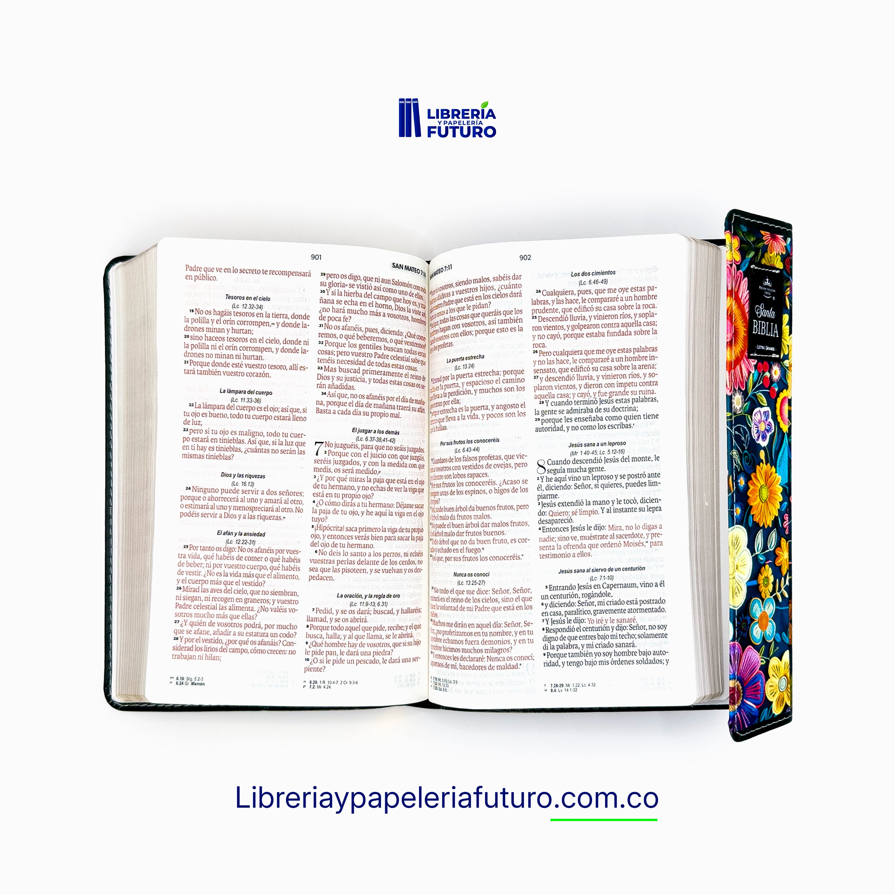 letra_8a215171-2a65-42cd-aa81-a5f5c4bbbc34.webp