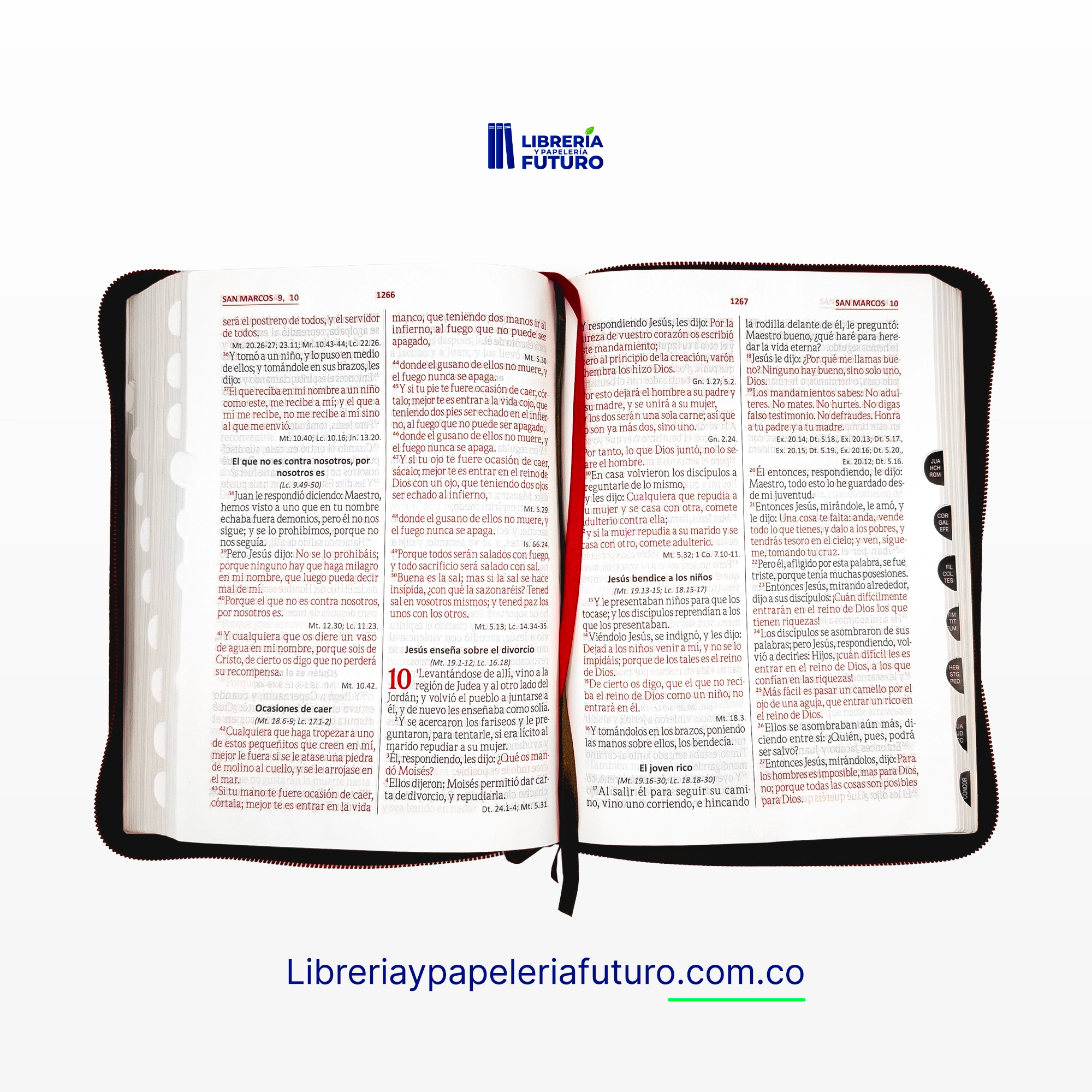 letra_indice.webp
