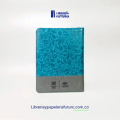Biblia grande SBC azul