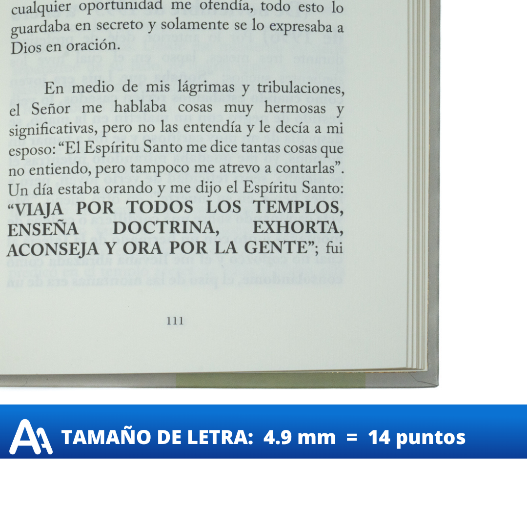 Libro de Vivencias (Español) IDMJI